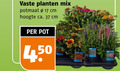 klik op dit plaatje voor een vergroting en voor vergelijkbare aanbiedingen gerelateerd aan ` tuinplanten 17 vaste planten mix potmaat cm hoogte ca. pot ` tuinplanten 17 vaste planten mix potmaat cm hoogte ca. pot