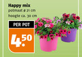 klik op dit plaatje voor een vergroting en voor vergelijkbare aanbiedingen gerelateerd aan ` tuinplanten 30 happy mix potmaat cm hoogte ca. pot ` tuinplanten 30 happy mix potmaat cm hoogte ca. pot