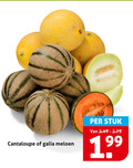 klik op dit plaatje voor een vergroting en voor vergelijkbare aanbiedingen gerelateerd aan ` meloen cantaloupe galia stuk ` meloen cantaloupe galia stuk