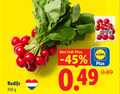 klik op dit plaatje voor een vergroting en voor vergelijkbare aanbiedingen gerelateerd aan ` radijs 250 ` radijs 250
