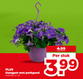 klik op dit plaatje voor een vergroting en voor vergelijkbare aanbiedingen gerelateerd aan ` perkplanten hangpot perkgoed potmaat cm stuk 3.99 ` perkplanten hangpot perkgoed potmaat cm stuk 3.99