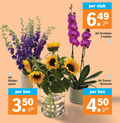 klik op dit plaatje voor een vergroting en voor vergelijkbare aanbiedingen gerelateerd aan ` orchidee zonnebloemen 2 6 350 450 stuk ridder spoor bos zonne bloemen ` orchidee zonnebloemen 2 6 350 450 stuk ridder spoor bos zonne bloemen