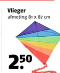 klik op dit plaatje voor een vergroting en voor vergelijkbare aanbiedingen gerelateerd aan ` vlieger 250 cm ` vlieger 250 cm