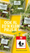 klik op dit plaatje voor een vergroting en voor vergelijkbare aanbiedingen gerelateerd aan ` rucola sla 1 jumbo melange jonge bladsla veldsla zacht mild gebruiken score nootachtig licht pittig eco klein kruidig rode krulsla nutri fris groene melanges zakken zak ` rucola sla 1 jumbo melange jonge bladsla veldsla zacht mild gebruiken score nootachtig licht pittig eco klein kruidig rode krulsla nutri fris groene melanges zakken zak