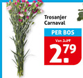 klik op dit plaatje voor een vergroting en voor vergelijkbare aanbiedingen gerelateerd aan ` carnaval bos 27 ` carnaval bos 27