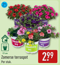 klik op dit plaatje voor een vergroting en voor vergelijkbare aanbiedingen gerelateerd aan ` tuinplanten 17 textileen ming cm zomerse terraspot stuk ` tuinplanten 17 textileen ming cm zomerse terraspot stuk