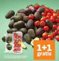 klik op dit plaatje voor een vergroting en voor vergelijkbare aanbiedingen gerelateerd aan ` 1 2 100 b eetrijp avocado tasty tom trostomaten salade brood fris lichtzoet nutri schaal stuks varieeren combineren ` 1 2 100 b eetrijp avocado tasty tom trostomaten salade brood fris lichtzoet nutri schaal stuks varieeren combineren