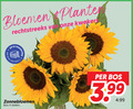 klik op dit plaatje voor een vergroting en voor vergelijkbare aanbiedingen gerelateerd aan ` 1 4 bloemen planten kwekers juf jaar bos 3.99 zonnebloemen stelen ` 1 4 bloemen planten kwekers juf jaar bos 3.99 zonnebloemen stelen