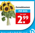 klik op dit plaatje voor een vergroting en voor vergelijkbare aanbiedingen gerelateerd aan ` zonnebloemen bos 3.99 2 99 ` zonnebloemen bos 3.99 2 99