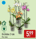 klik op dit plaatje voor een vergroting en voor vergelijkbare aanbiedingen gerelateerd aan ` 2 9 cm orchidee tak stuk ` 2 9 cm orchidee tak stuk