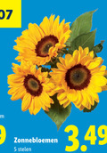 klik op dit plaatje voor een vergroting en voor vergelijkbare aanbiedingen gerelateerd aan ` 5 cm zonnebloemen stelen ` 5 cm zonnebloemen stelen