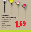 klik op dit plaatje voor een vergroting en voor vergelijkbare aanbiedingen gerelateerd aan ` 8 livarno solar led lamp tulp automatisch donker cm verlichtingsduur ca. uur ` 8 livarno solar led lamp tulp automatisch donker cm verlichtingsduur ca. uur