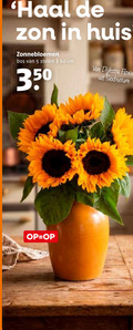 klik op dit plaatje voor een vergroting en voor vergelijkbare aanbiedingen gerelateerd aan ` 5 60 350 zon huis zonnebloemen bos stelen cm dijkstra flowers ` 5 60 350 zon huis zonnebloemen bos stelen cm dijkstra flowers