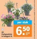 klik op dit plaatje voor een vergroting en voor vergelijkbare aanbiedingen gerelateerd aan ` 2 perkgoedmix hangpot xl stuk 6 50 productvarianten combineren boards ` 2 perkgoedmix hangpot xl stuk 6 50 productvarianten combineren boards