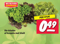 klik op dit plaatje voor een vergroting en voor vergelijkbare aanbiedingen gerelateerd aan ` sla tricolor kropsla kluit stuk ` sla tricolor kropsla kluit stuk