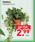 klik op dit plaatje voor een vergroting en voor vergelijkbare aanbiedingen gerelateerd aan ` 13 hedera potmaat cm stuk 3.99 ` 13 hedera potmaat cm stuk 3.99