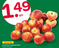 klik op dit plaatje voor een vergroting en voor vergelijkbare aanbiedingen gerelateerd aan ` nectarines wilde perziken 50 500 ` nectarines wilde perziken 50 500
