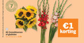 klik op dit plaatje voor een vergroting en voor vergelijkbare aanbiedingen gerelateerd aan ` 1 7 combinatie zonnebloemen gladiolen actieprijs ` 1 7 combinatie zonnebloemen gladiolen actieprijs
