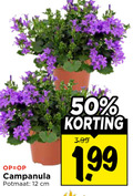 klik op dit plaatje voor een vergroting en voor vergelijkbare aanbiedingen gerelateerd aan ` 12 50 campanula potmaat cm 3.99 ` 12 50 campanula potmaat cm 3.99