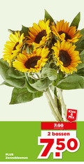 klik op dit plaatje voor een vergroting en voor vergelijkbare aanbiedingen gerelateerd aan ` zonnebloemen 2 bossen mix ` zonnebloemen 2 bossen mix