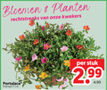 klik op dit plaatje voor een vergroting en voor vergelijkbare aanbiedingen gerelateerd aan ` tuinplanten 17 bloemen planten kwekers potmaat cm stuk ` tuinplanten 17 bloemen planten kwekers potmaat cm stuk