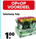 klik op dit plaatje voor een vergroting en voor vergelijkbare aanbiedingen gerelateerd aan ` solarlamp 100 voordeel tulp ` solarlamp 100 voordeel tulp