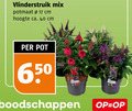 klik op dit plaatje voor een vergroting en voor vergelijkbare aanbiedingen gerelateerd aan ` tuinplanten 17 40 650 vlinderstruik mix potmaat cm hoogte ca. pot ` tuinplanten 17 40 650 vlinderstruik mix potmaat cm hoogte ca. pot
