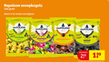 klik op dit plaatje voor een vergroting en voor vergelijkbare aanbiedingen gerelateerd aan ` snoep 4 24 napoleon snoepkogels depuis citroen zure bonbons gout citron kern zuur poeder avec coeur poudre 17 papier fruitmix frisse fruitsmaak aux wikkel emballage zwartwit salmiak kogels la drop harde zout droppoeder ` snoep 4 24 napoleon snoepkogels depuis citroen zure bonbons gout citron kern zuur poeder avec coeur poudre 17 papier fruitmix frisse fruitsmaak aux wikkel emballage zwartwit salmiak kogels la drop harde zout droppoeder