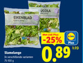 klik op dit plaatje voor een vergroting en voor vergelijkbare aanbiedingen gerelateerd aan ` sla eikenblad slamelange pittig gewassen eikenbladsla rucola rode ui rosso 75-100 ` sla eikenblad slamelange pittig gewassen eikenbladsla rucola rode ui rosso 75-100