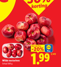 klik op dit plaatje voor een vergroting en voor vergelijkbare aanbiedingen gerelateerd aan ` nectarines 500 wilde schaal ` nectarines 500 wilde schaal