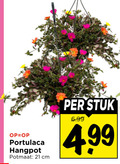 klik op dit plaatje voor een vergroting en voor vergelijkbare aanbiedingen gerelateerd aan ` hangpot potmaat cm stuk ` hangpot potmaat cm stuk