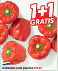 klik op dit plaatje voor een vergroting en voor vergelijkbare aanbiedingen gerelateerd aan ` paprika 1 hollandse rode ` paprika 1 hollandse rode