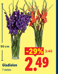 klik op dit plaatje voor een vergroting en voor vergelijkbare aanbiedingen gerelateerd aan ` 7 90 cm gladiolen stelen ` 7 90 cm gladiolen stelen