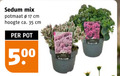 klik op dit plaatje voor een vergroting en voor vergelijkbare aanbiedingen gerelateerd aan ` tuinplanten 17 35 sedum mix potmaat cm hoogte ca. pot 50 ` tuinplanten 17 35 sedum mix potmaat cm hoogte ca. pot 50