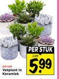 klik op dit plaatje voor een vergroting en voor vergelijkbare aanbiedingen gerelateerd aan ` vetplant keramiek stuk 5.99 ` vetplant keramiek stuk 5.99