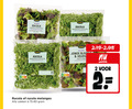 klik op dit plaatje voor een vergroting en voor vergelijkbare aanbiedingen gerelateerd aan ` 2 nutri score jumbo melange rucola kruidig licht pittig rode krulsla gebroken geld beard nootachtig pc gebruiken gekoeld jonge zacht mild melanges zakken 75-80 ` 2 nutri score jumbo melange rucola kruidig licht pittig rode krulsla gebroken geld beard nootachtig pc gebruiken gekoeld jonge zacht mild melanges zakken 75-80