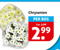 klik op dit plaatje voor een vergroting en voor vergelijkbare aanbiedingen gerelateerd aan ` chrysanten bos 3.99 2 99 ` chrysanten bos 3.99 2 99