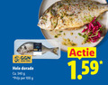 klik op dit plaatje voor een vergroting en voor vergelijkbare aanbiedingen gerelateerd aan ` 100 dorade ca. ` 100 dorade ca.