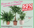 klik op dit plaatje voor een vergroting en voor vergelijkbare aanbiedingen gerelateerd aan ` kamerplanten 17 50 bloemen planten kwekers pot tusca wit groene pachira chamaedorea varen nephrolepis potmaat cm 3.99 5.99 ` kamerplanten 17 50 bloemen planten kwekers pot tusca wit groene pachira chamaedorea varen nephrolepis potmaat cm 3.99 5.99