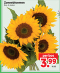 klik op dit plaatje voor een vergroting en voor vergelijkbare aanbiedingen gerelateerd aan ` 4 zonnebloemen bos stelen 3.99 ` 4 zonnebloemen bos stelen 3.99