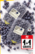 klik op dit plaatje voor een vergroting en voor vergelijkbare aanbiedingen gerelateerd aan ` blauwe bessen 1 2 7 34 300 blauw jumbo klasse gekoeld verpakt supermarkten b.v. antwoordnummer nederland oorsprong nl bak bakken ` blauwe bessen 1 2 7 34 300 blauw jumbo klasse gekoeld verpakt supermarkten b.v. antwoordnummer nederland oorsprong nl bak bakken