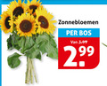 klik op dit plaatje voor een vergroting en voor vergelijkbare aanbiedingen gerelateerd aan ` zonnebloemen bos 3.99 ` zonnebloemen bos 3.99