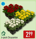 klik op dit plaatje voor een vergroting en voor vergelijkbare aanbiedingen gerelateerd aan ` 6 pack chrysanten ` 6 pack chrysanten