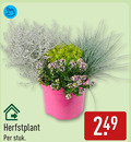 klik op dit plaatje voor een vergroting en voor vergelijkbare aanbiedingen gerelateerd aan ` heideplanten herfstplant stuk ` heideplanten herfstplant stuk