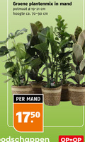 klik op dit plaatje voor een vergroting en voor vergelijkbare aanbiedingen gerelateerd aan ` groene plantenmix mand potmaat cm hoogte ca. ` groene plantenmix mand potmaat cm hoogte ca.