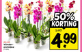 klik op dit plaatje voor een vergroting en voor vergelijkbare aanbiedingen gerelateerd aan ` 2 50 vlinder orchidee ` 2 50 vlinder orchidee