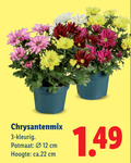 klik op dit plaatje voor een vergroting en voor vergelijkbare aanbiedingen gerelateerd aan ` tuinplanten 3 12 potmaat cm hoogte ` tuinplanten 3 12 potmaat cm hoogte