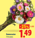 klik op dit plaatje voor een vergroting en voor vergelijkbare aanbiedingen gerelateerd aan ` zomeraster stelen ` zomeraster stelen