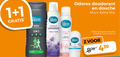 klik op dit plaatje voor een vergroting en voor vergelijkbare aanbiedingen gerelateerd aan ` douchegel deodorant 1 2 3 50 odorex douche dry men protection lovely lavender shower fam deoroller invisible care ml ` douchegel deodorant 1 2 3 50 odorex douche dry men protection lovely lavender shower fam deoroller invisible care ml