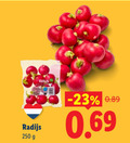 klik op dit plaatje voor een vergroting en voor vergelijkbare aanbiedingen gerelateerd aan ` 250 radijs ` 250 radijs